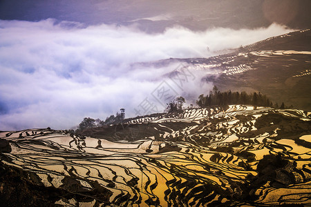 天依女神庙多依树梯田背景