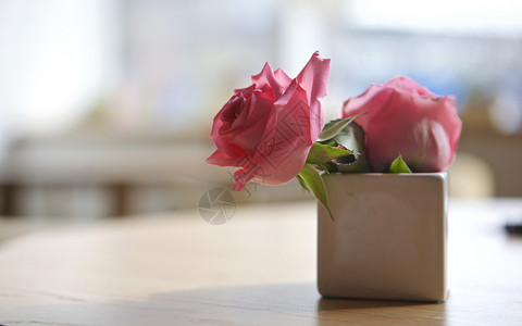 情人节的玫瑰与咖啡背景图片
