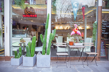 甜品店宣传清新文艺绿植咖啡店背景