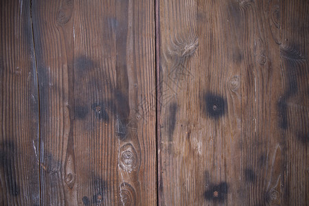 树木纹理纹路清新线条木板背景素材背景