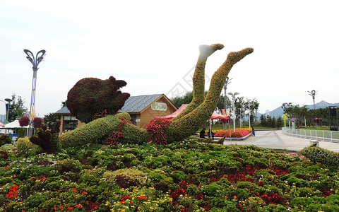 青岛世博园园林景观花模型景观背景