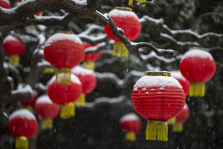 春雪.年味乙未春雪高清图片