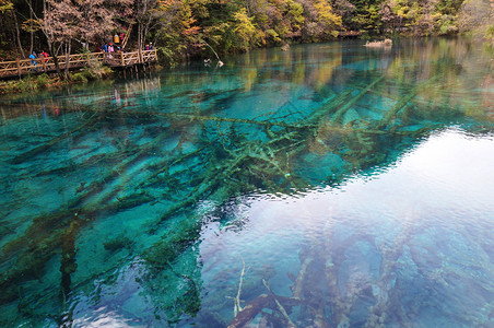 成都九寨沟九寨沟风景区背景