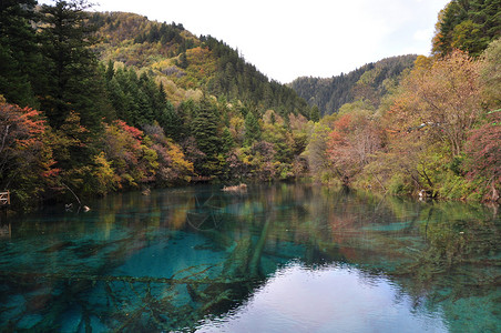 神雕侠侣取景地九寨沟风景区背景