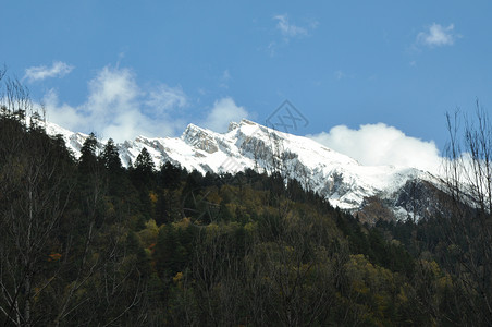 神雕侠侣取景地九寨沟风景区背景