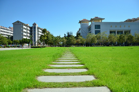 学区划分校园背景