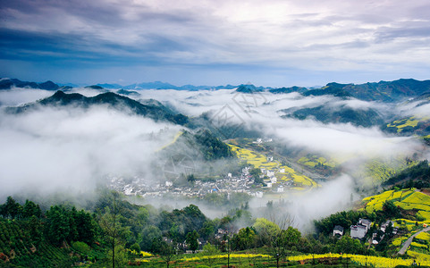 石潭素材云海油菜花海背景