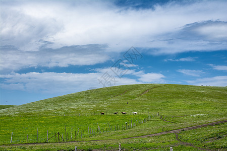 喀拉峻大草原背景图片