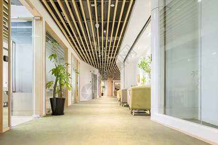 绿色办公空间一站式开放式办公空间休闲背景