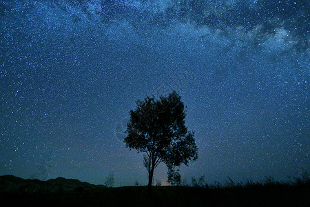 夜空中的树星空背景