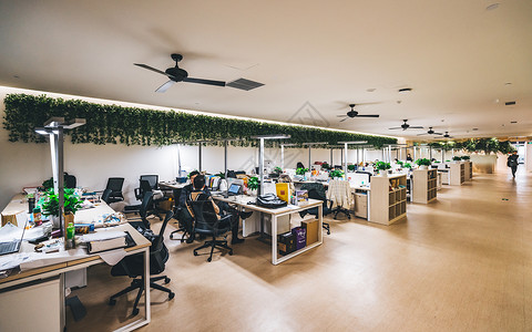 办公室绿色植物办公环境广角拍摄背景