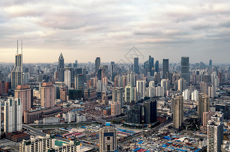 城市森林背景图片