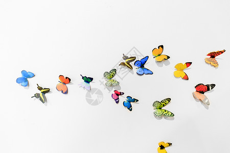 一群飞舞的蝴蝶高清图片