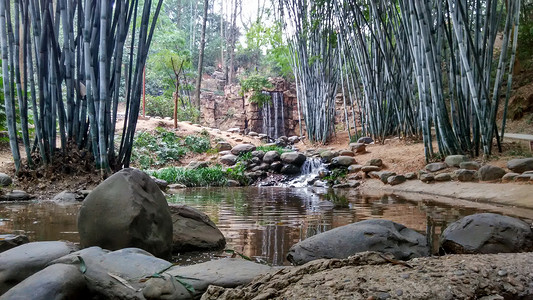 竹林流水瀑布图片