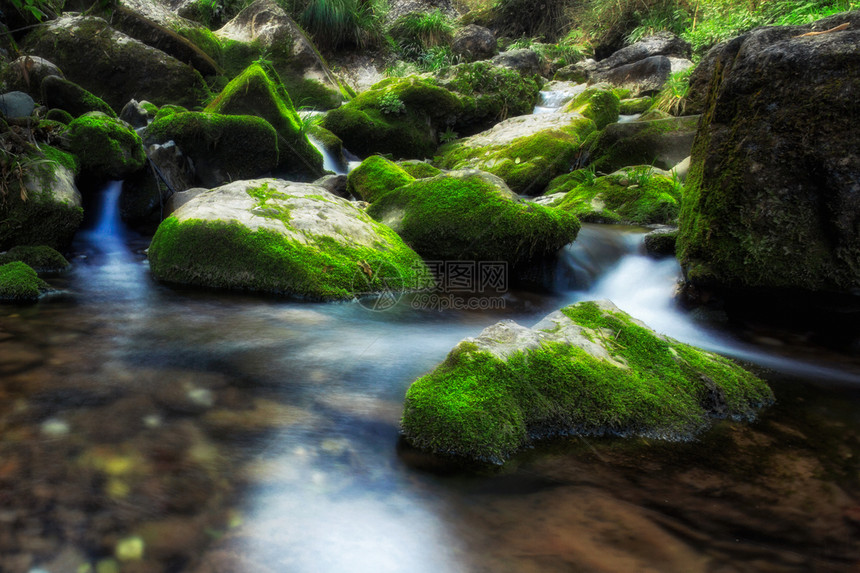 青城山下流水潺潺