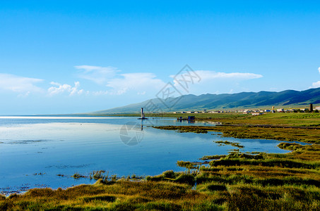 会泽大海草山青海湖背景