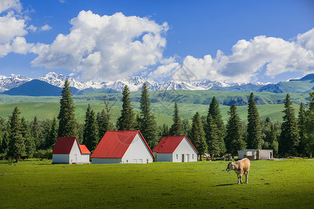 清新房屋东方的阿尔卑斯山背景