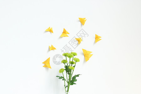 折纸蝴蝶花朵上的纸蝴蝶背景