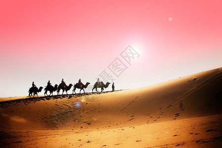 骆驼群新疆鸣沙山沙漠驼铃背景
