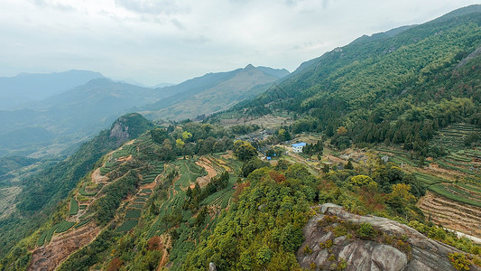 茶园福鼎太姥山景色高清图片