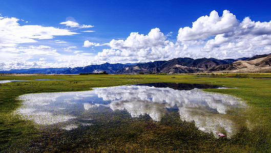高原牧场西藏风光背景