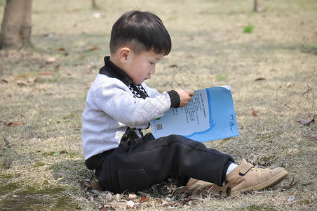 看书学生看图书高清图片