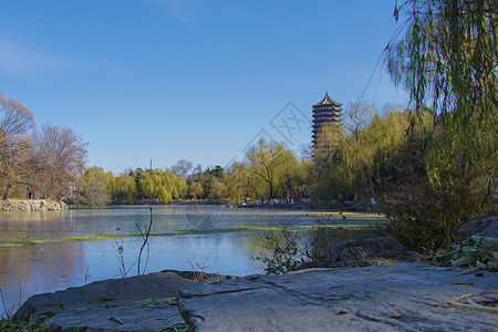 北京大学水墨画北大未名湖背景