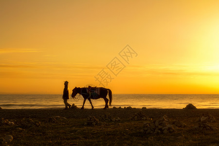 牧马人青海湖的马高清图片