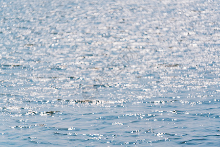 水里的鸟无锡鼋头渚太湖背景
