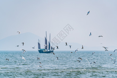 动态旅行素材无锡鼋头渚太湖背景