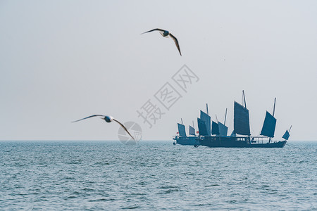 动态旅行素材无锡鼋头渚太湖背景