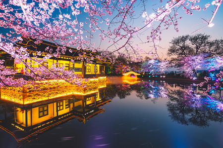 无锡太湖新城无锡鼋头渚多彩樱花背景