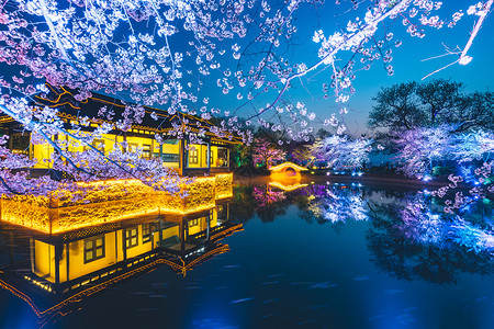 美丽的夜无锡鼋头渚樱花背景