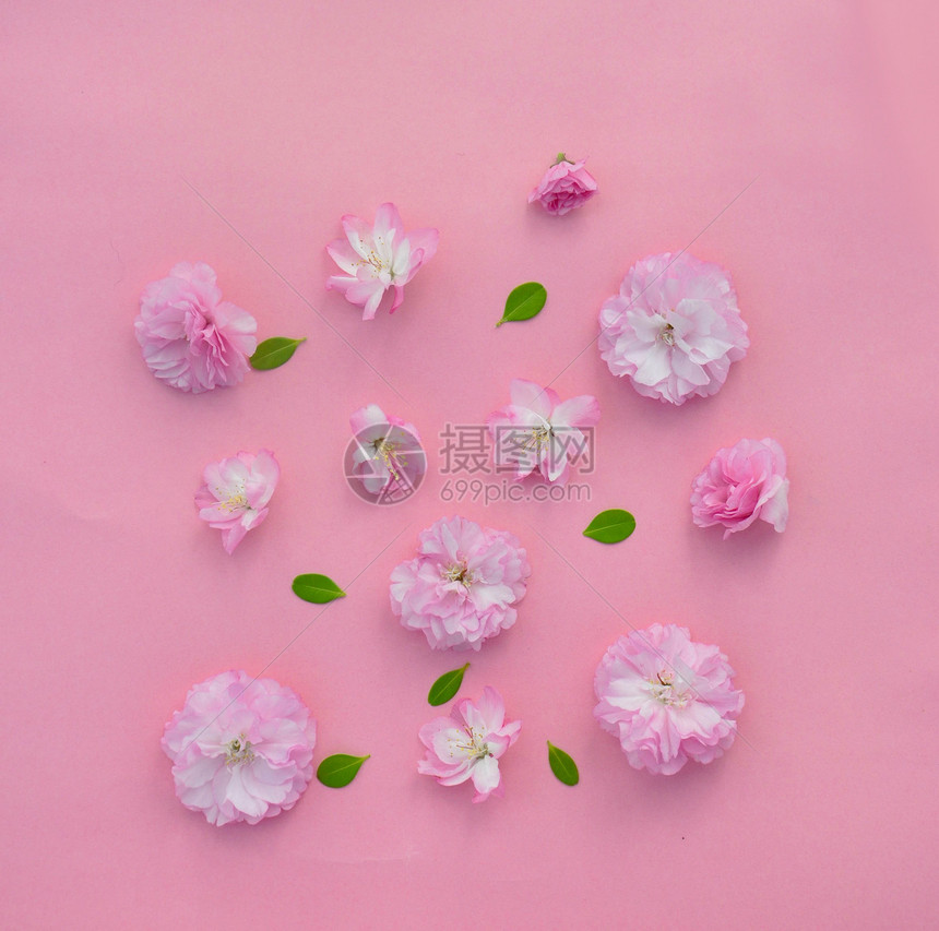 粉色樱花花瓣图片