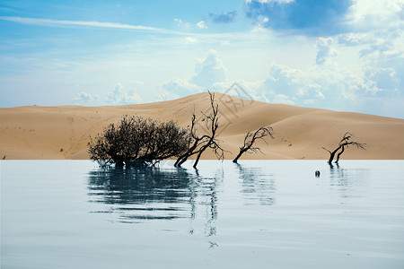 山与湖和绿色沙漠中里的最后一棵树设计图片