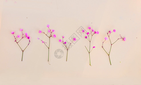 粉色小碎花背景图片