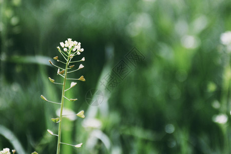 美好的世界光明的美好世界背景