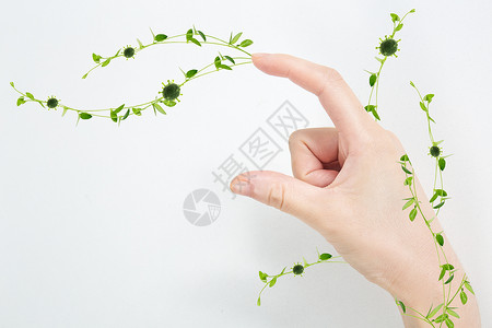 韩版长款素材长植物的手清新图片设计图片