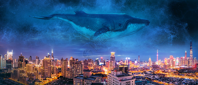 瓜头鲸天空中鲸鱼设计图片