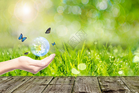 蝴蝶光绿色商务环保背景设计图片