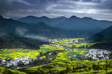 婺源油菜花山光春色背景