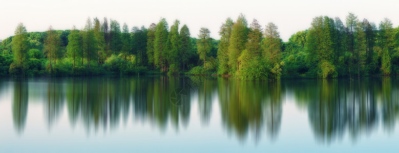 武汉希望湖边树林倒影背景