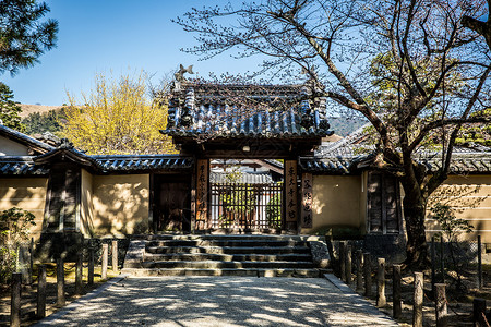 日本京都庭院背景图片