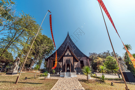 清迈棕榈树泰国清迈的寺庙背景