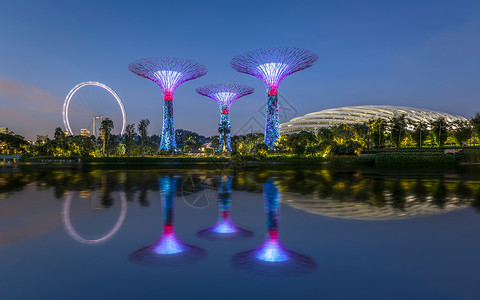 新加坡滨海花园超级大树背景