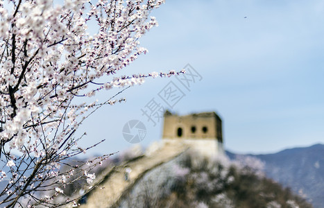 长城烽火台春染长城背景