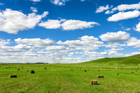 绿色视野蓝天白云和草原背景