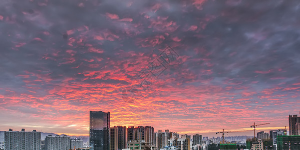 深圳坂田的火烧云背景图片