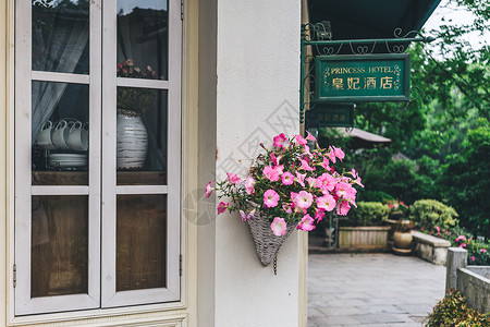 花朵树标志窗台边的绿色植物背景