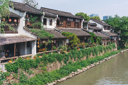 杭州小河边的植被背景图片